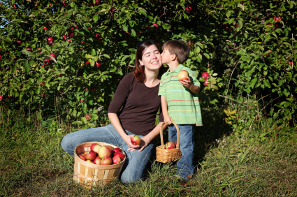 mother and son picking apples