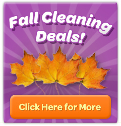 Fall Cleanup Button