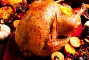 Tips to Cook the Perfect Thanksgiving Turkey