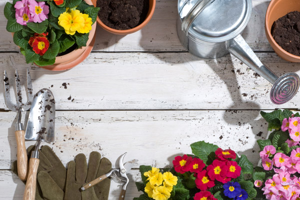 garden istock photo of tools and flowers and dirt