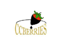 CCBerries Coupons