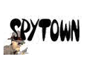 SpyTown Coupons