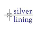 Shop Silver Lining