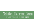 Shop White Flower Farm